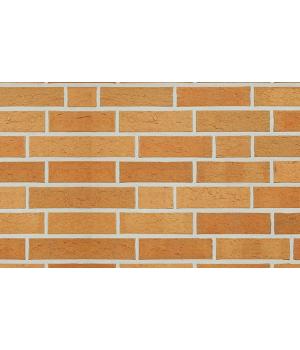 Кирпич клинкерный пустотелый Roben Ravello gelb-bunt 250*85*65 мм арт. SL6358