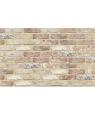 Кирпич облицовочный ручной формовки Terca Oud Torhout (WFD RUSTICA OUD TORHOUT) 215*102*65 мм арт. SL7531