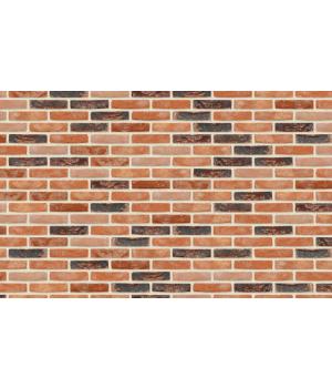 Кирпич ручной формовки Nelissen Robinia 210*100*50 мм арт. SL7172