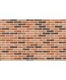 Кирпич ручной формовки Nelissen Robinia 210*100*50 мм арт. SL7172