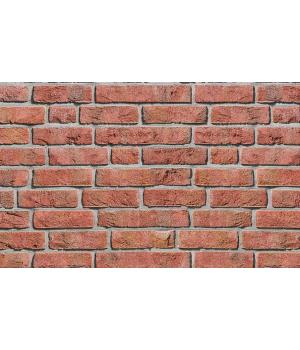 Кирпич ручной формовки Roben Formback hellrot-bunt 240*54*71 мм арт. SL7220