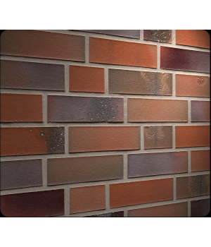 Клинкерная плитка R580 Salina Ardor Colori арт. 33281