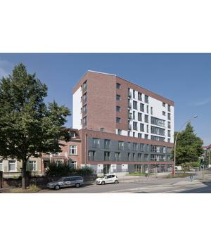 Клинкерная плитка R752 Vascu Ardor Carbo арт. 49569