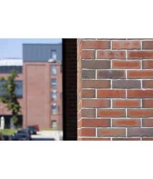 Клинкерная плитка R752 Vascu Ardor Carbo арт. 49569