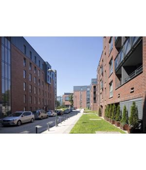 Клинкерная плитка R752 Vascu Ardor Carbo арт. 49569