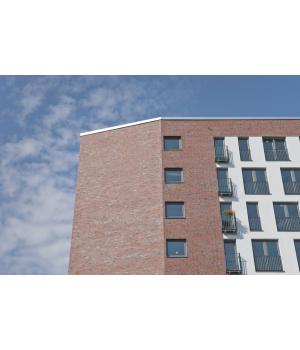 Клинкерная плитка R752 Vascu Ardor Carbo арт. 49569
