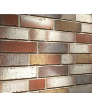 Клинкерная плитка R921 Vario Ardor Trecolora арт. 58546