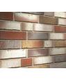 Клинкерная плитка R921 Vario Ardor Trecolora арт. 58546